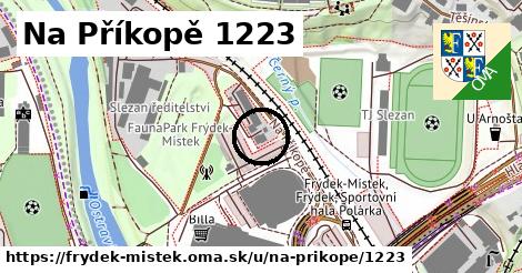 Na Příkopě 1223, Frýdek-Místek