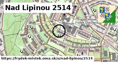 Nad Lipinou 2514, Frýdek-Místek