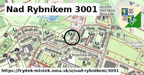 Nad Rybníkem 3001, Frýdek-Místek