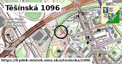 Těšínská 1096, Frýdek-Místek
