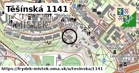 Těšínská 1141, Frýdek-Místek
