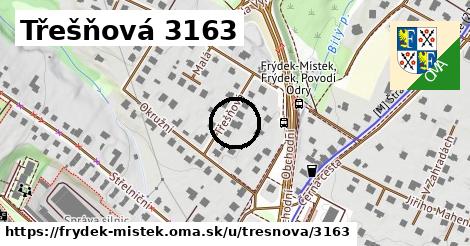 Třešňová 3163, Frýdek-Místek