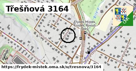 Třešňová 3164, Frýdek-Místek