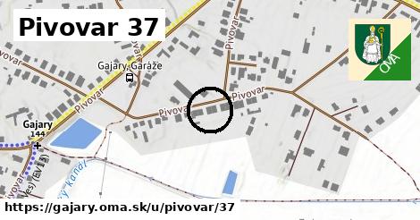 Pivovar 37, Gajary