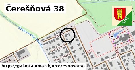 Čerešňová 38, Galanta