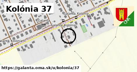 Kolónia 37, Galanta