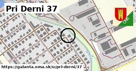 Pri Derni 37, Galanta