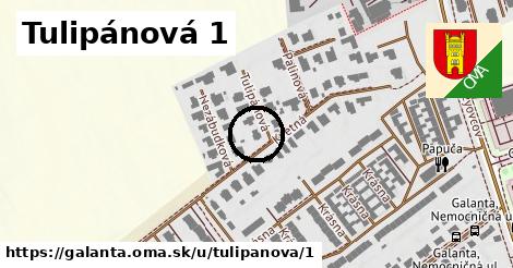 Tulipánová 1, Galanta