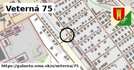 Veterná 75, Galanta