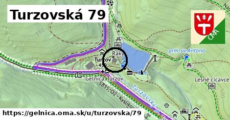 Turzovská 79, Gelnica