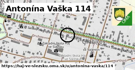 Antonína Vaška 114, Háj ve Slezsku