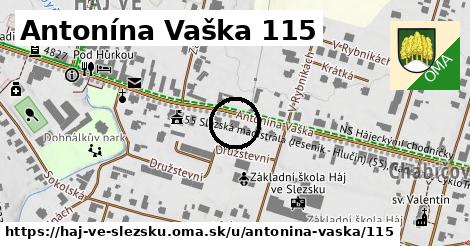 Antonína Vaška 115, Háj ve Slezsku