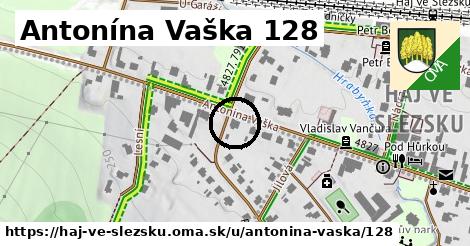 Antonína Vaška 128, Háj ve Slezsku