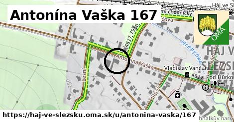 Antonína Vaška 167, Háj ve Slezsku