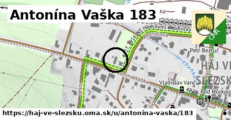 Antonína Vaška 183, Háj ve Slezsku