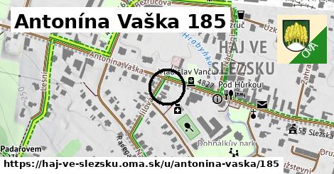 Antonína Vaška 185, Háj ve Slezsku