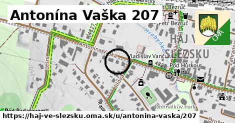 Antonína Vaška 207, Háj ve Slezsku