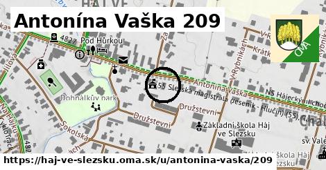 Antonína Vaška 209, Háj ve Slezsku