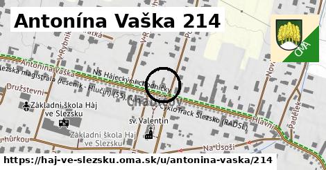 Antonína Vaška 214, Háj ve Slezsku