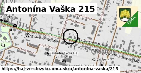 Antonína Vaška 215, Háj ve Slezsku