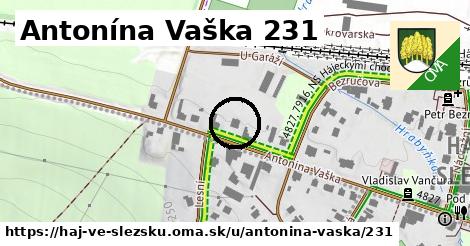 Antonína Vaška 231, Háj ve Slezsku