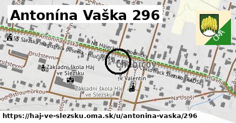 Antonína Vaška 296, Háj ve Slezsku