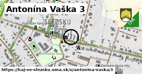 Antonína Vaška 3, Háj ve Slezsku