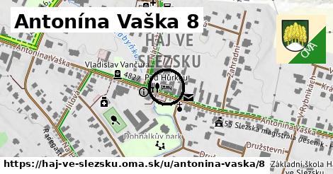 Antonína Vaška 8, Háj ve Slezsku