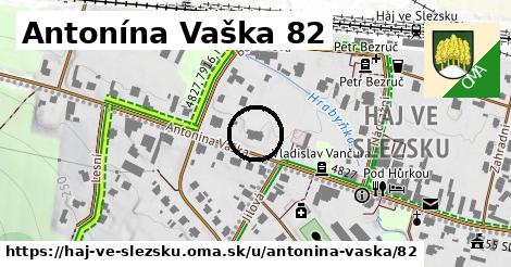 Antonína Vaška 82, Háj ve Slezsku