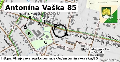 Antonína Vaška 85, Háj ve Slezsku