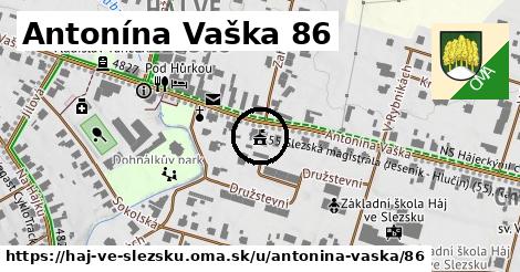 Antonína Vaška 86, Háj ve Slezsku