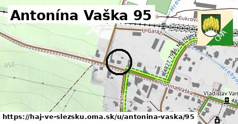 Antonína Vaška 95, Háj ve Slezsku