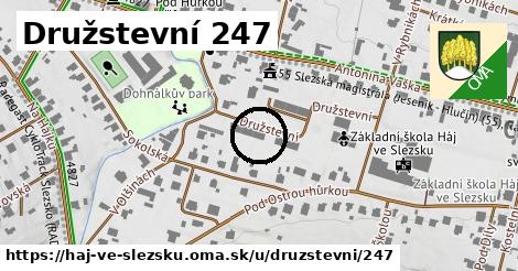 Družstevní 247, Háj ve Slezsku