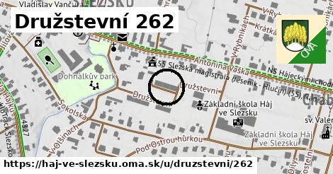 Družstevní 262, Háj ve Slezsku