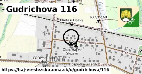 Gudrichova 116, Háj ve Slezsku