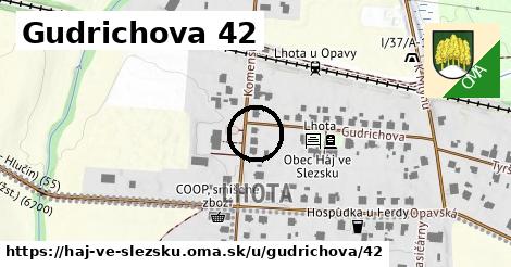 Gudrichova 42, Háj ve Slezsku