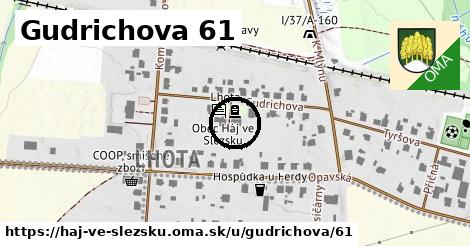 Gudrichova 61, Háj ve Slezsku