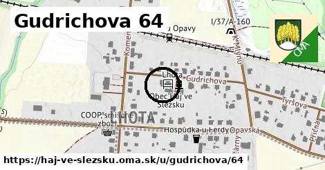 Gudrichova 64, Háj ve Slezsku