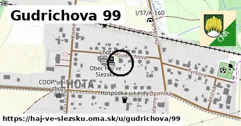 Gudrichova 99, Háj ve Slezsku