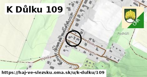 K Důlku 109, Háj ve Slezsku