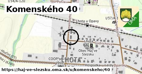 Komenského 40, Háj ve Slezsku