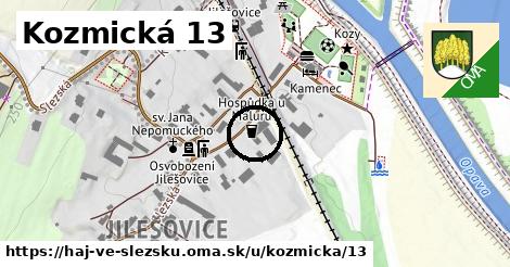 Kozmická 13, Háj ve Slezsku