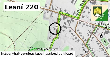 Lesní 220, Háj ve Slezsku