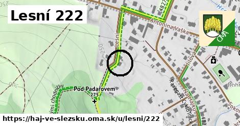 Lesní 222, Háj ve Slezsku