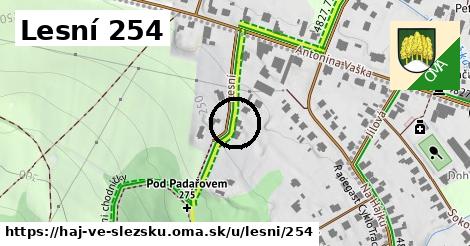 Lesní 254, Háj ve Slezsku