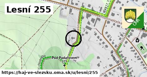 Lesní 255, Háj ve Slezsku