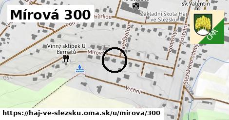 Mírová 300, Háj ve Slezsku