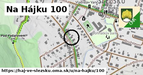 Na Hájku 100, Háj ve Slezsku