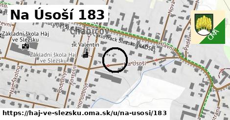 Na Úsoší 183, Háj ve Slezsku