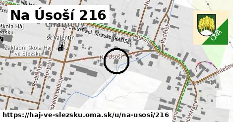 Na Úsoší 216, Háj ve Slezsku